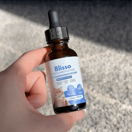 Blisso